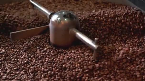 Close up video of cooling fresh roasted coffee beans in roastery. - Πλάνα, βίντεο