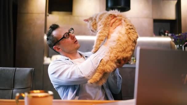 Καυκάσιος που δουλεύει σε λάπτοπ ενώ κρατάει γάτα στο γραφείο. Άνδρας ελεύθερος επαγγελματίας που εργάζεται στον υπολογιστή και ψάχνει στο γατάκι τζίντζερ στην κουζίνα. Τριχωτό κατοικίδιο, μικροί κολλητοί. Ευτυχισμένο σπιτικό  - Πλάνα, βίντεο