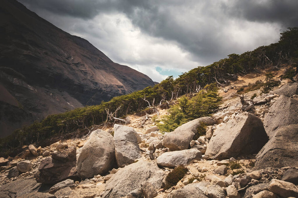 パタゴニアチリのトレスデルパイン国立公園トレッキング - 写真・画像