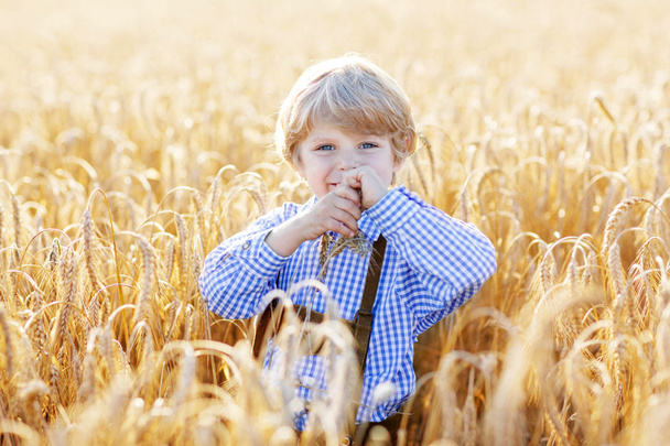 Funny little kid boy in leather shors, walking  through wheat fi - Фото, изображение