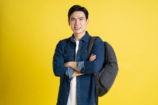 黄色の背景にポーズするアジアの男性学生の肖像画 - 写真・画像