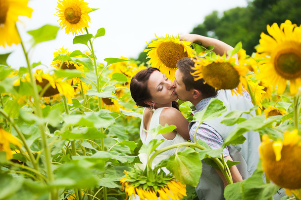 happy couple in love having fun in field full of sunflowers - Фото, зображення