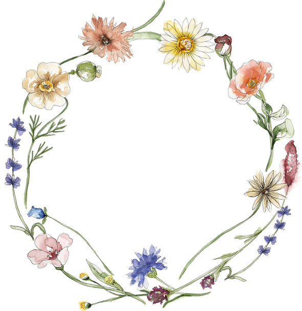 Aquarel wilde bloemen en gras krans illustratie, weide bloemen frame clipart - Foto, afbeelding