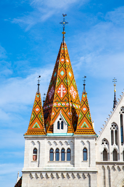 Parte de la Iglesia Matthias, Budapest
 - Foto, imagen