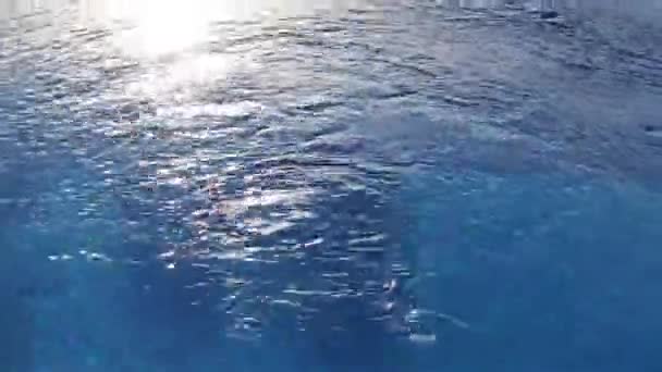 Ondeggiante acqua limpida in piscina bolle con fondo blu, vista dall'alto
 - Filmati, video
