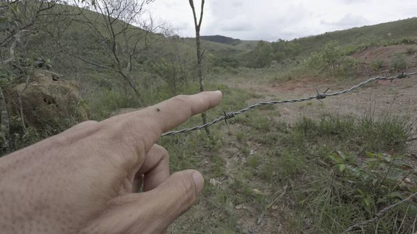 Une main gauche méfiante s'approche d'une forte pointe de clôture avec un insecte perché. - Photo, image