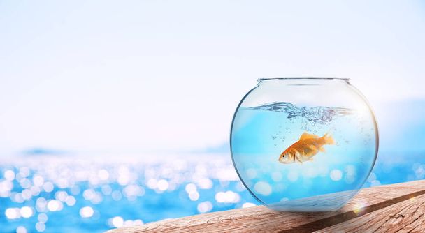 Goldfisch springt aus dem Aquarium und wirft sich ins Meer - Foto, Bild