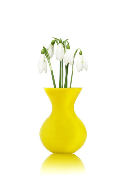 Schneeglöckchen in gelber Vase - Foto, Bild