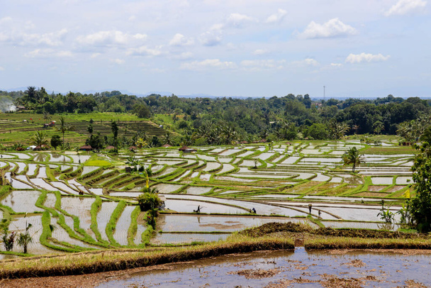 Entdecken Sie die Schönheit der indonesischen Landschaften - Foto, Bild