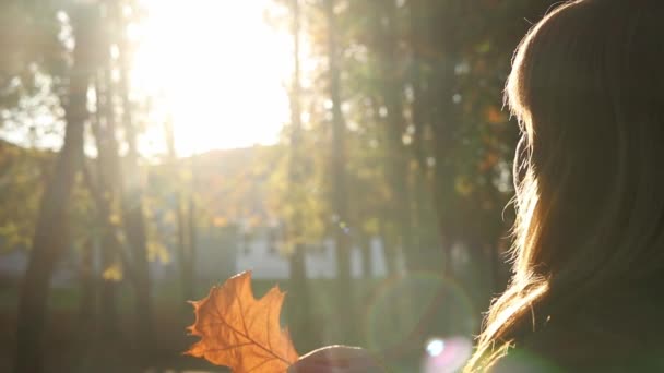 オークの木の葉を見ている女性のシルエットバックビュー. メンタルヘルス,希望,幸福の概念。 ドリーム秋。 平和ライフスタイル。 フォールパークや森の日光. 抽象的なスローモーションショット. - 映像、動画