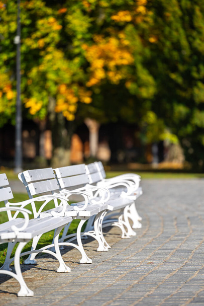 Λευκά ξύλινα παγκάκια σε ένα πάρκο της πόλης. Μια ρομαντική φωτογραφία από άδεια παγκάκια στο φως του ήλιου - Φωτογραφία, εικόνα