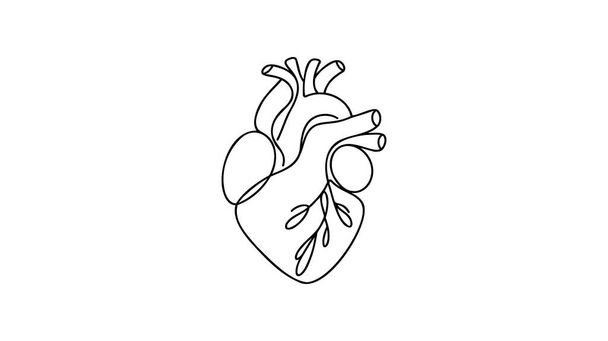 Single continuous line art anatomical human heart silhouette. Healthy medicine concept design one sketch outline drawing vector illustration. - Vector, Image