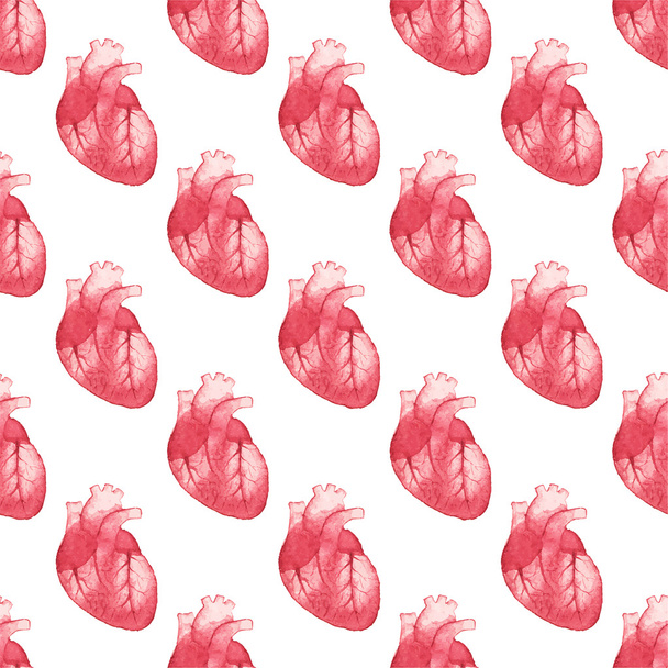 Watercolor seamless pattern with realistic human heart on the white background, aquarelle.  Vector illustration. - Διάνυσμα, εικόνα