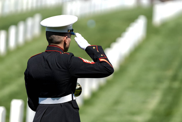 Um momento pungente se desenrola enquanto um fuzileiro naval joga torneiras, honrando um veterano caído com uma saudação solene, marcando seu internamento em um cemitério militar nacional.. - Foto, Imagem