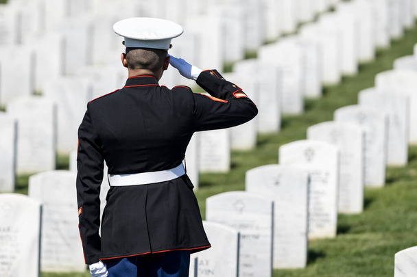 A poignant moment unfolds as a Marine plays taps, honoring a fallen veteran with a solemn salute, marking their internment at a national military cemetery. - Photo, Image