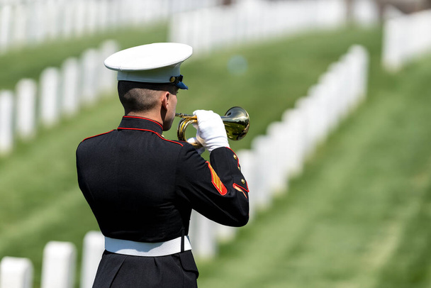 Печальный момент разворачивается, когда морпех играет на кране, чествуя павшего ветерана торжественным приветствием, отмечая их интернирование на национальном военном кладбище. - Фото, изображение