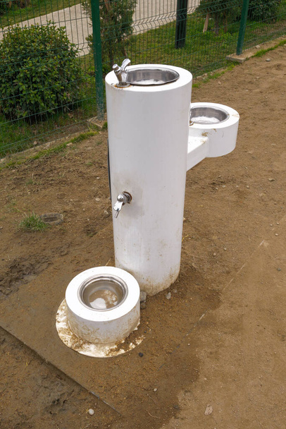 A pet-friendly dual-level water fountain designed for both humans and dogs in a park, showing the taller spout and basin alongside a lower dog bowl. - Photo, Image
