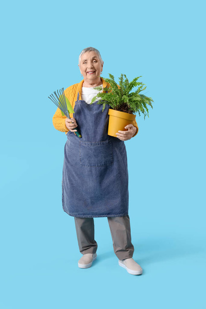 Senior gardener with plant and tools on blue background - Photo, Image