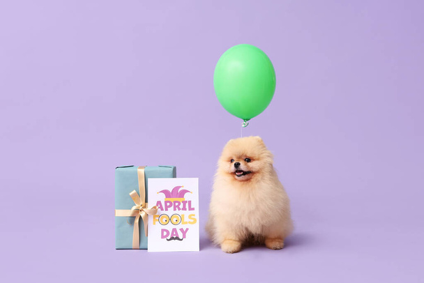 Lindo perro Pomeranian Spitz, tarjeta con texto APRIL FOOLS DAY, globo aerostático y caja de regalo sobre fondo lila - Foto, Imagen