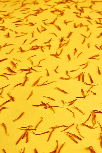 Marigold τα πέταλα σε κίτρινο φόντο - Φωτογραφία, εικόνα