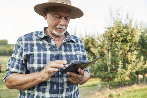 Senior farmer browsing mobile phone while standing on apple farm - Photo, Image