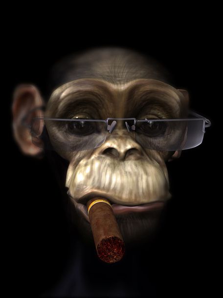 Herr Schimpanse der Zuhälter - Foto, Bild