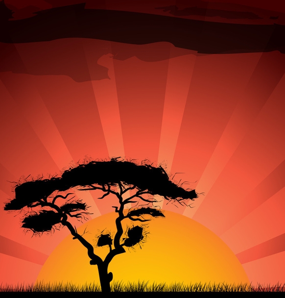 Silueta stromu na vone sunset - Vektor, obrázek