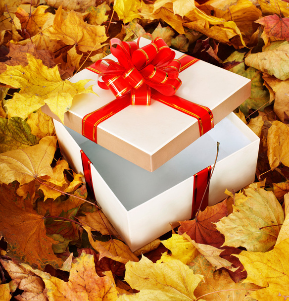 Gift box in fall foliage. - Foto, immagini