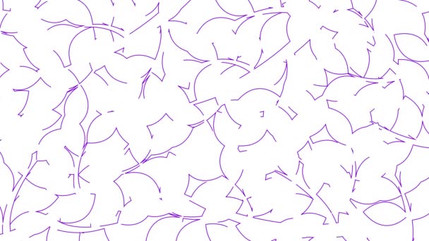 Geanimeerde lineaire bloemen achtergrond. Lijn violette bladeren op tak wordt geleidelijk getrokken. Begrip tuinieren, ecologie, natuur. Vector illustratie geïsoleerd op witte achtergrond. - Video