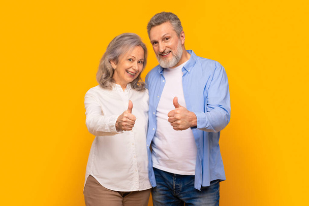 Iloinen vanhusten eläkeläispariskunta hymyilee ja antaa peukalot hyväksyntään, seisoo yhdessä keltaista studiotaustaa vasten, symboloi onneaan, suosittelee suurta tarjousta - Valokuva, kuva