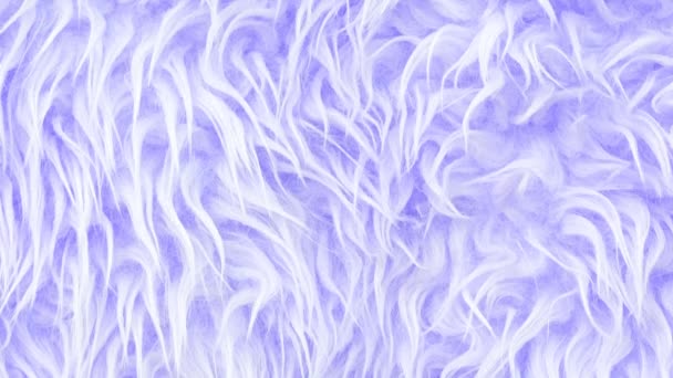 Video de cerca en la textura de la luz púrpura o violeta larga piel artificial de cerca. Decoración para el hogar y concepto de confort. Banner cuadrado con espacio de copia para redes sociales - Metraje, vídeo