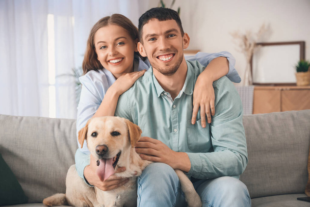 Joyeux jeune couple avec Labrador chien étreignant sur le canapé à la maison - Photo, image