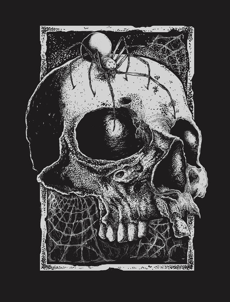 Zwarte weduwe en de schedel - Vector, afbeelding