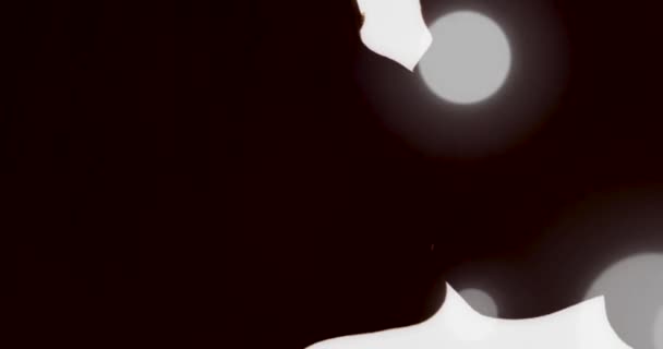 силует молодої пари на тлі захоплюючого сонця - Кадри, відео