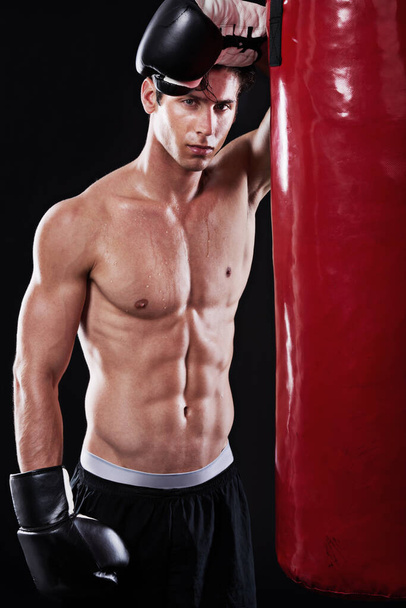 Boxer, training and portrait of man in studio with punching bag for workout, exercise or fight competition with dark background. Gloves, boxing and male athlete for confident, martial arts or fitness. - Photo, Image