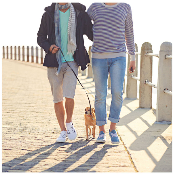 犬,ウォーキング,ゲイの男性は夏の絆,愛,そしてアウトドアの幸せの道を歩いています. 動物, ロマンスと lgbtq カップル一緒に週末の日付のために一緒にパス, ペットの子犬と日光の中でリラックスしてパートナー. - 写真・画像