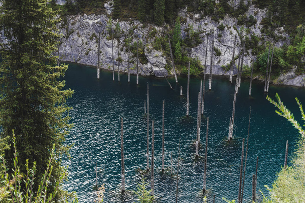 пейзаж с красивым озером с голубой водой и стволами деревьев затонувшего леса летом. Озеро Кайнди в горах Тянь-Шаня в Казахстане. Вид сверху с беспилотника - Фото, изображение
