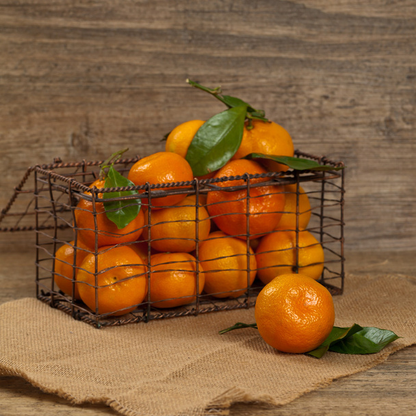 Mandarin - Fotoğraf, Görsel
