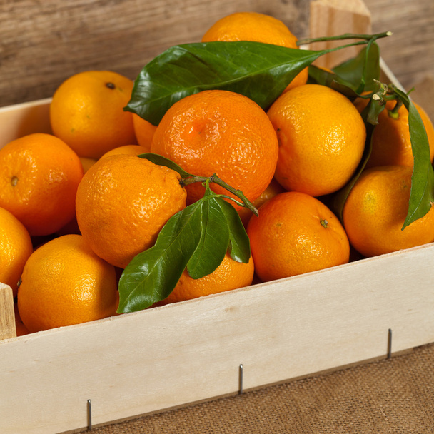 mandarijnen - Foto, afbeelding