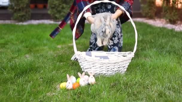 Маленький кролик біля кошика з прикрашеними яйцями на траві Великодня листівка - Кадри, відео