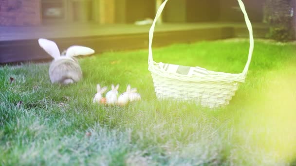 Kleine konijntje in de buurt van versierde paaseieren op gras. Paasvakantie concept. - Video