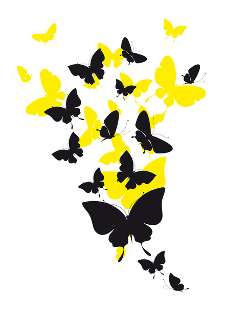 butterflies design - Photo, Image