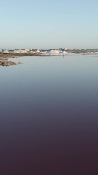 アリカンテ スペインのトレヴィージャ市のラスサリナスで塩工場に向かって湖を飛ぶ高速. 空中ドローン - 垂直 1080 ビデオ - 映像、動画
