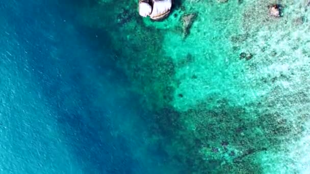 ブルーターコイズ海のリーフサメブラックフィン. ドローンカメラが下を向いている. 高品質の4k映像 - 映像、動画