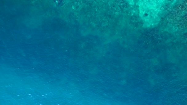 Czarna płetwa rekina rafowego w niebieskim turkusowym morzu. Kamera drona skierowana w dół. Wysokiej jakości materiał 4k - Materiał filmowy, wideo