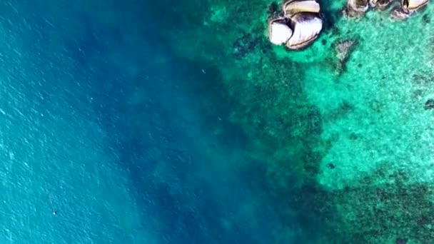 Czarna płetwa rekina rafowego w niebieskim turkusowym morzu. Dron z góry, nad widokiem. Wysokiej jakości materiał 4k - Materiał filmowy, wideo