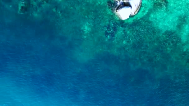 Czarna płetwa rekina rafowego w niebieskim turkusowym morzu. pionowe ptaki widok drona oko. Wysokiej jakości materiał 4k - Materiał filmowy, wideo