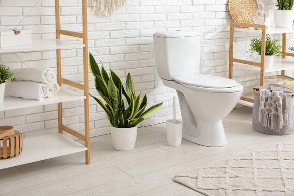 Інтер'єр світлої ванної кімнати з керамічним унітазом і кімнатними рослинами - Фото, зображення