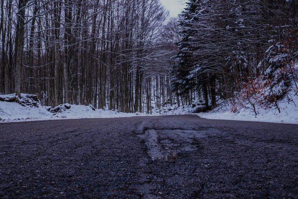Schlechte Sicht auf leere Landstraße im Winter - Foto, Bild