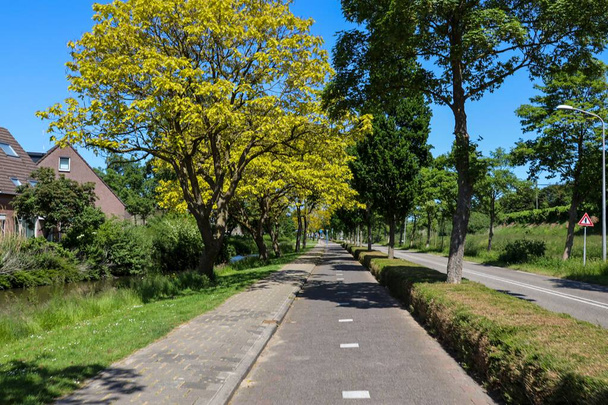 Pista ciclabile lungo zuidplaslaan Nel quartiere Zuidplas di Nieuwerkerk aan den IJssel Paesi Bassi - Foto, immagini